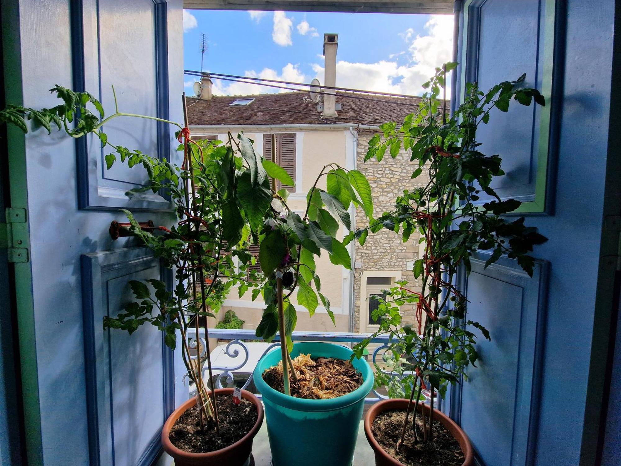Chez Mamichou Lägenhet Moret-sur-Loing Exteriör bild